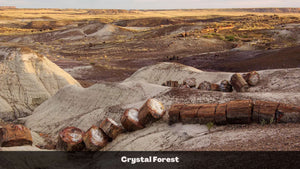 1.32 Acres in Navajo County, AZ Own for $135 Per Month (Parcel Number: 105-58-170)