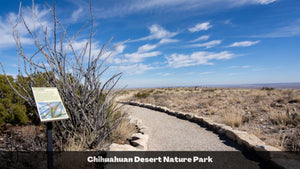 1 Acre in Luna County, NM Own for $199 Per Month (Parcel Number: 3032144209376 & 3032144197376)