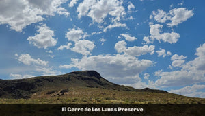 0.25 Acres in Valencia County, NM Own for $200 Per Month (Parcel Number: 1013031055040000170)