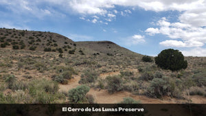 0.25 Acres in Valencia County, NM Own for $200 Per Month (Parcel Number: 1014032007177117320)