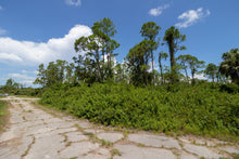 Load image into Gallery viewer, 0.27 Acre in Sarasota County, FL - Full Payment for Lot in Sarasota County, FL -1131-22-2816
