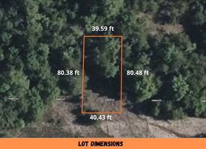 0.07 Acre in Ozark County, MO Own for Only $950 Cash (Parcel Number: 17-0.4-20-004-012-020.000)