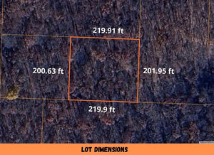 1 Acre in Camden County, MO Own for $199 Per Month (Parcel Number:04-3.1-05.0-000.0-034-061.000)
