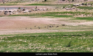 1 Acre in Apache County, AZ Own for $199 Per Month (211-35-386)