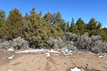 Load image into Gallery viewer, 4.6 Acres in Costilla County, CO Own for $349 Per Month (Parcel Number: 70700880) - Once Upon a Brick Inc. Land Investments
