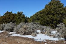 Load image into Gallery viewer, 4.6 Acres in Costilla County, CO Own for $349 Per Month (Parcel Number: 70700880) - Once Upon a Brick Inc. Land Investments

