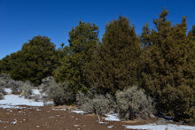 Load image into Gallery viewer, 4.6 Acres in Costilla County, CO Own for $349 Per Month (Parcel Number: 70700880) - Once Upon a Brick Inc. Land Investments
