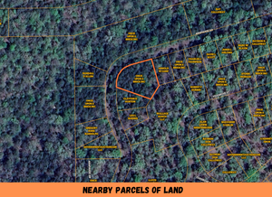 0.33 Acre in Ozark County, MO Own for $150 Per Month (Parcel Number: 17-0.4-20-002-014-021.002)