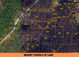 1.7 Acre in Camden County, MO Own for $199 Per Month (Parcel Number: 04-3.2-06.0 000.0-003-063.000)