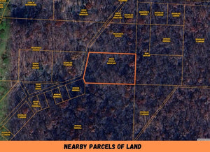 1.4 Acre in Camden County, MO Own for $199 Per Month (Parcel Number:04-3.2-06.0-000.0-002-005.000)