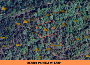 0.28 Acre in Ozark County, MO Own for $119 Per Month (Parcel Number: 17-0.4-20-002-014-026.000)