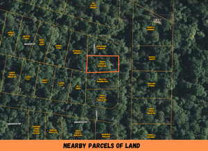 0.1 Acre in Ozark County, MO Own for $85 Per Month (Parcel Number: 17-0.4-20-004-010-034.000)