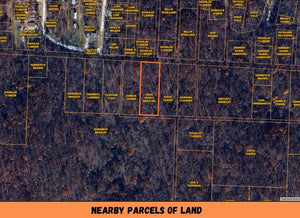 1 Acre in Camden County, MO Own for $150 Per Month (Parcel Number: 04-3.1-05.0-000.0-034-020.000)