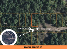Load image into Gallery viewer, 0.07 Acre in Ozark County, MO Own for Only $950 Cash (Parcel Number: 17-0.4-20-004-012-018.000)
