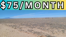 Load image into Gallery viewer, 1 Acre Lot in Valencia County, NM - Own for $75 Per Month (1-017-028-187-039-101200)
