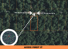 Load image into Gallery viewer, 0.08 Acre in Ozark County, MO Own for $69 Per Month (Parcel Number: 17-0.4-20-004-014-016.000)
