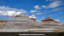 Load image into Gallery viewer, 1.32 Acres in Navajo County, AZ Own for $135 Per Month (Parcel Number: 105-58-164)
