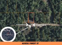 Load image into Gallery viewer, 0.07 Acre in Ozark County, MO Own for Only $950 Cash (Parcel Number: 17-0.4-20-004-012-020.000)
