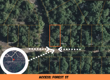 Load image into Gallery viewer, 0.07 Acre in Ozark County, MO Own for Only $950 Cash (Parcel Number: 17-0.4-20-004-013-038.000)
