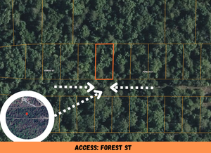 0.07 Acre in Ozark County, MO Own for Only $950 Cash (Parcel Number: 17-0.4-20-004-012-016.000)