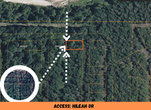 Load image into Gallery viewer, 0.12 Acre in Ozark County, MO Own for $85 Per Month (Parcel Number: 18-0.6-13-004-006-001.000)
