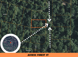 0.1 Acre in Ozark County, MO Own for $85 Per Month (Parcel Number: 17-0.4-20-004-010-034.000)
