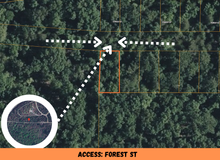 Load image into Gallery viewer, 0.07 Acre in Ozark County, MO Own for $69 Per Month (Parcel Number: 17-0.4-20-004-012-009.000)

