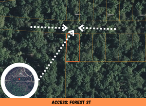 0.07 Acre in Ozark County, MO Own for $69 Per Month (Parcel Number: 17-0.4-20-004-012-009.000)