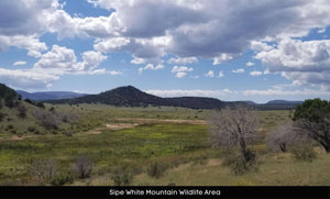 10 Acres in Apache County, Arizona Own for $400 Per Month (212-13-007C)