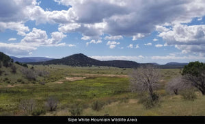 1 Acre in Apache County, AZ Own for $199 Per Month (Parcel Number: 211-35-234)