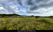 Load image into Gallery viewer, 1 Acre in Apache County, AZ Own for $199 Per Month (Parcel Number: 211-35-235)

