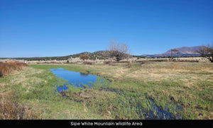 10 Acres in Apache County, Arizona Own for $400 Per Month (212-13-007C)