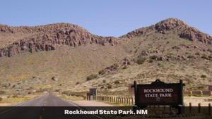 1 Acre in Luna County, NM (APN: 3036156033033, 3036156045033)