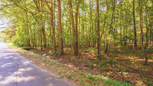 0.14 Acre in Jefferson County, AR Own for $99 Per Month (Parcel Number: 930-12851-000)