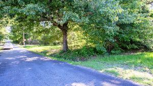 0.15 Acre in Jefferson County, AR Own for $99 Per Month (Parcel Number: 910-01112-000)