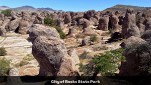 1 Acre in Luna County, NM (3036156056102, 3036156045102)