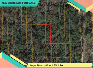 0.116 Acres in Boone County, Arkansas Own for $199 Per Month (Parcel Number: 775-01959-000, 775-01960-000)