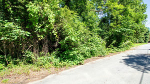 0.17 Acre in Jefferson County, AR Own for $99 Per Month (Parcel Number: 930-04823-000)