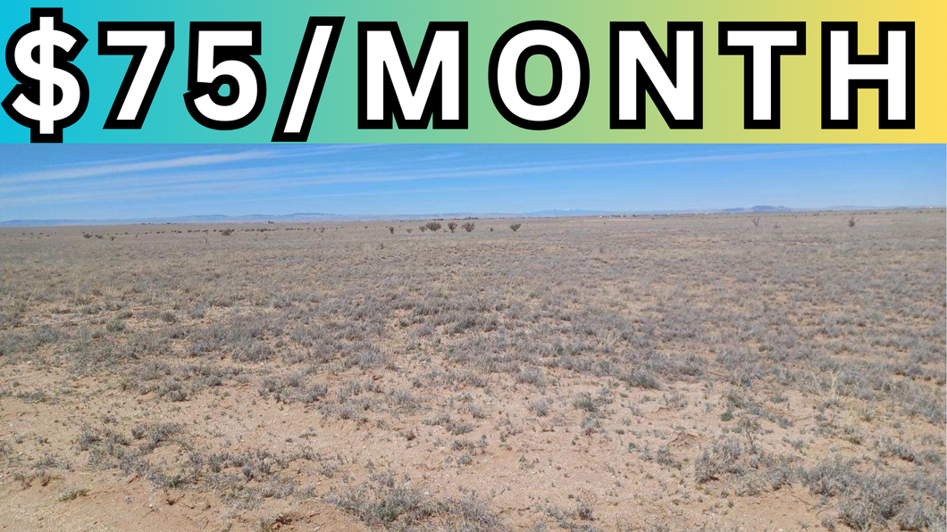 1 Acre Lot in Valencia County, NM - Own for $75 Per Month (1-017-028-187-039-101280)