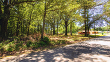 Load image into Gallery viewer, 0.17 Acre in Jefferson County, AR Own for $99 Per Month (Parcel Number: 930-25752-000)
