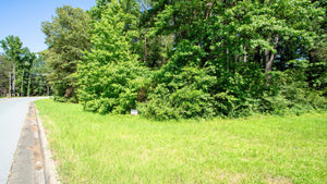 0.14 Acre in Jefferson County, AR Own for $99 Per Month (Parcel Number: 930-18600-023)