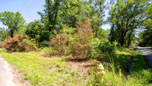 Load image into Gallery viewer, 0.15 Acre in Jefferson County, AR Own for $99 Per Month (Parcel Number: 930-17865-084)
