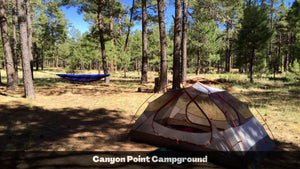 1.32 Acres in Navajo County, AZ Own for $135 Per Month (Parcel Number: 105-58-170)