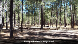 1.32 Acres in Navajo County, AZ Own for $135 Per Month (Parcel Number: 105-58-164)