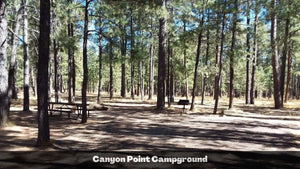 1.32 Acres in Navajo County, AZ Own for $135 Per Month (Parcel Number: 105-58-165)