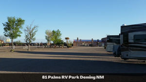 1 Acre in Luna County, NM (APN: 3036156033033, 3036156045033)