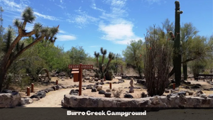 1.01 Acres in Mohave County, AZ (Parcel Number: 342-07-161)