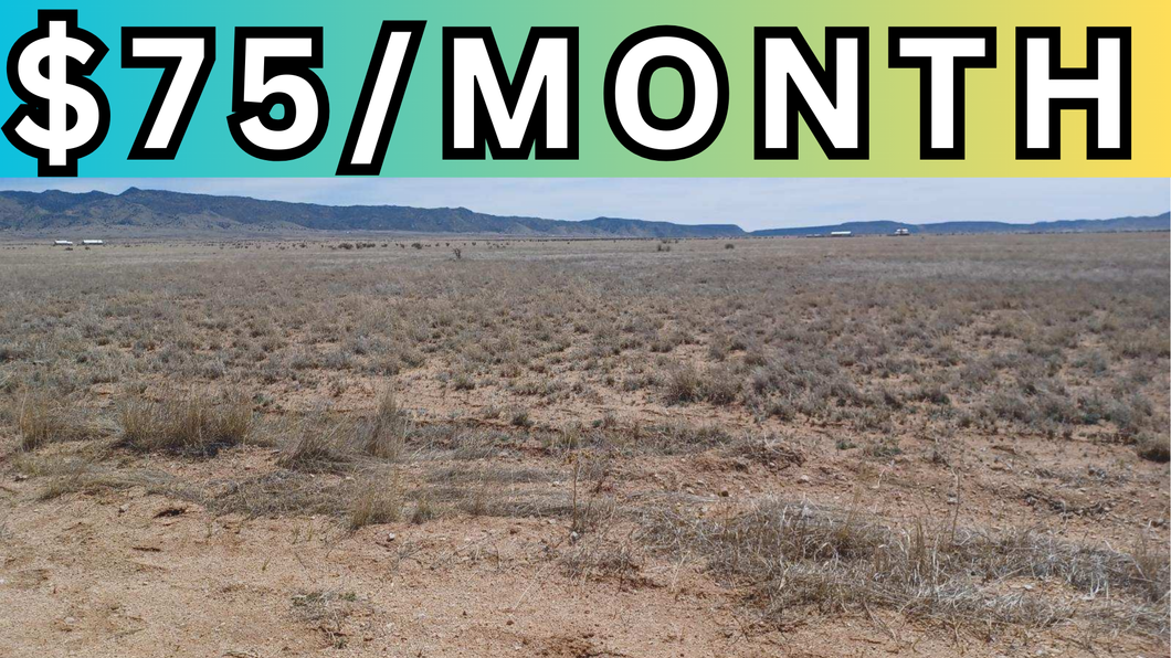 1 Acre Lot in Valencia County, NM - Own for $75 Per Month (1-018-028-196-040-100200)