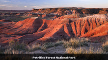Load image into Gallery viewer, 1.32 Acre in Navajo County, AZ Own for $175 Per Month (Parcel Number: 105-59-335)

