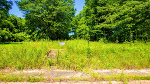 0.25 Acre in Jefferson County, AR Own for $99 Per Month (Parcel Number: 930-28098-000)